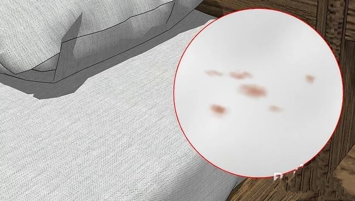 深圳金衛(wèi)士滅臭蟲(chóng)殺臭蟲(chóng) (7).png